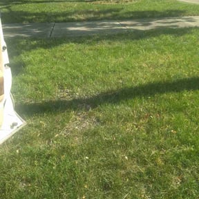 Cleanups by Cloverleaf Lawncare reviewed on April 26, 2022