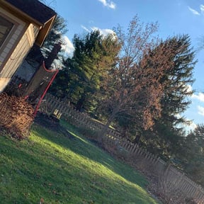 Leaf Removal by Atom Ant lawn care services reviewed on January 7, 2022