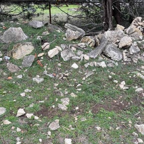 Bush Trimming by Coach bound llc reviewed on April 15, 2022