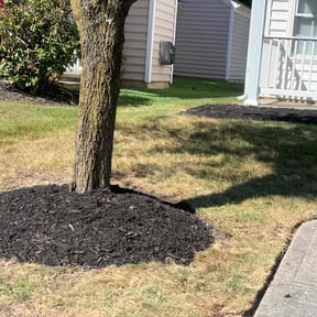 Weeding by Kountrys Lawn Care reviewed on June 10, 2022