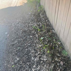 Cleanups by Finns landscaping reviewed on November 18, 2023