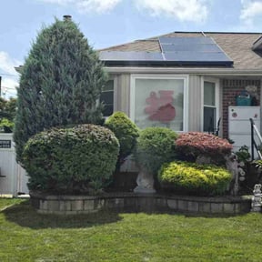 Bush Trimming by A1 America  Landscaping reviewed on October 21, 2024