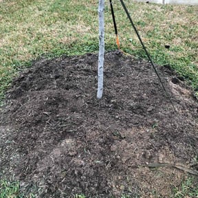 Flower Bed Weeding by Fine Cut Landscaping LLC reviewed on April 20, 2022