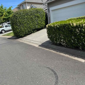 Flower Bed Weeding by McHenry Landscaping and Pressure Washing reviewed on July 29, 2022