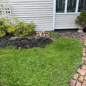 Cleanups by Lawn masters reviewed on April 27, 2022