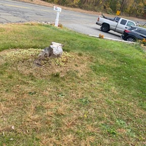 Leaf Removal by Mckinney Lawn reviewed on June 7, 2022