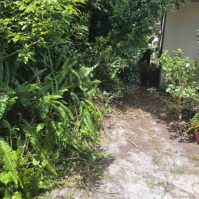 Bush Trimming by I&N Lawncare Services LLC reviewed on March 26, 2025