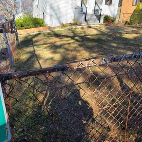 Leaf Removal by D. Nelsons Lawn Care, LLC reviewed on June 11, 2022