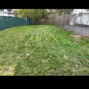 Cleanups by A1 America  Landscaping reviewed on October 17, 2024
