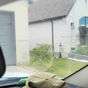 Bush Trimming by Antonio Villasenor reviewed on September 18, 2024