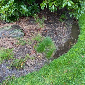 Leaf Removal by HM's Superior Landscape & Design reviewed on September 29, 2021