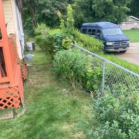 Bush Trimming by Wards lawn care reviewed on April 17, 2022