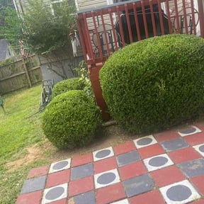 Bush Trimming by Anton Lawn Care reviewed on August 6, 2024