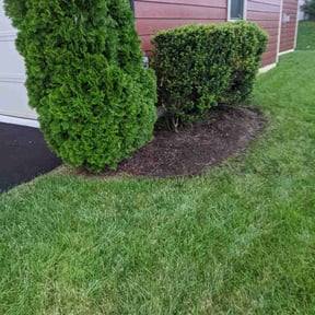 Weed Pulling by Haywood Services reviewed on November 14, 2024