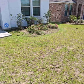 Flower Bed Weeding by Buddy&#039;s Mow Blow &amp; Go Lawncare reviewed on July 2, 2025