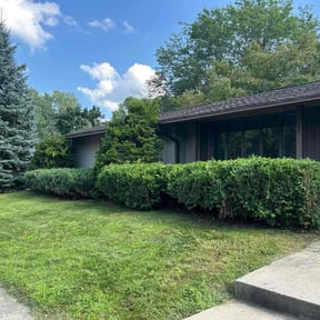 Bush Trimming by Olympus Outdoor Services reviewed on April 8, 2025