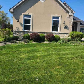 Bush Trimming by Tim's Discount Lawn reviewed on July 17, 2022