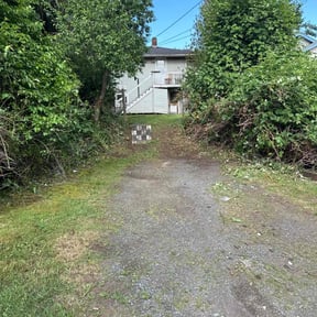 Bush Trimming by Williams pressure wash and lawnservices reviewed on May 2, 2022