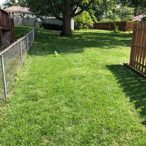 Bush Trimming by Integrity Lawn Care LLC reviewed on June 23, 2022