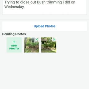 Bush Trimming by Rouse Curb Appeal reviewed on June 28, 2022