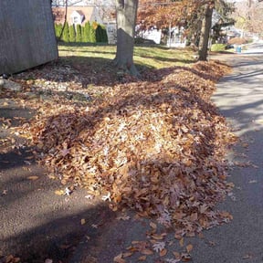 Leaf Removal by Miltee mowing reviewed on June 24, 2022