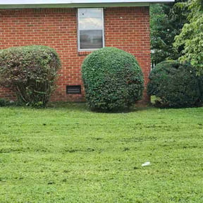 Bush Trimming by Landscape Groomers,LLC reviewed on January 8, 2025
