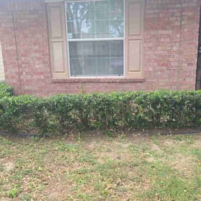 Bush Trimming by Perry Family Maintenance LLC reviewed on October 1, 2024