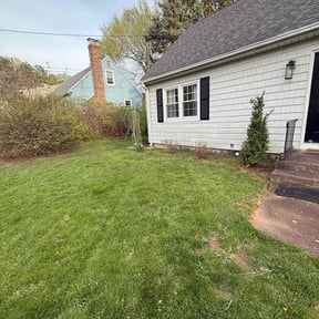 Flower Bed Weeding by Greenland pro reviewed on June 16, 2022