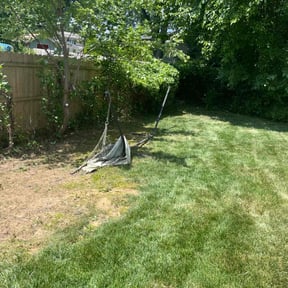 Bush Trimming by Isaiah's Custom Cutz reviewed on July 25, 2022