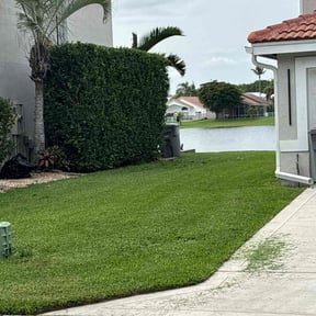 Bush Trimming by MarroquÃn Landscaping LLC reviewed on August 27, 2024