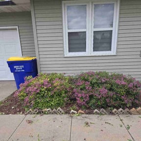 Bush Trimming by 316D Lawn Care reviewed on June 13, 2022