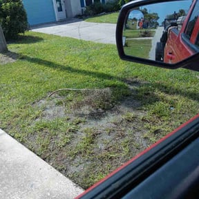 Flower Bed Weeding by Brothers Lawn Care reviewed on April 6, 2022