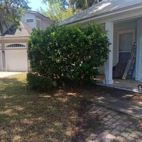 Bush Trimming by Reil Lawn Company LLC reviewed on June 6, 2025