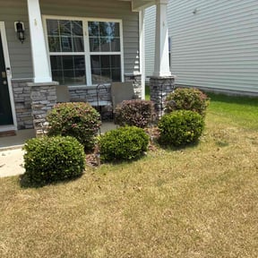 Bush Trimming by Hedgepeth’s Lawn Care Service reviewed on October 28, 2022