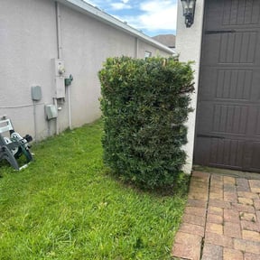 Bush Trimming by John's Lawn Maintenance reviewed on August 19, 2024