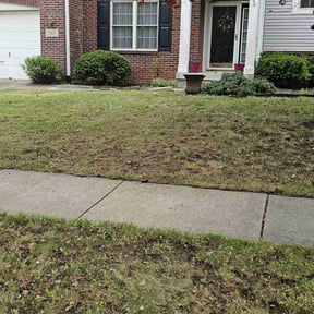 Leaf Removal by Green Cutters reviewed on October 5, 2022