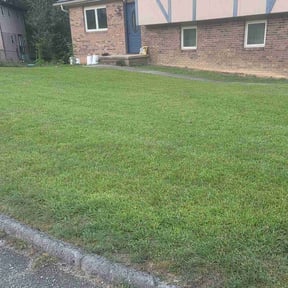 Weeding by Persevere Complete Lawn Care reviewed on June 7, 2021