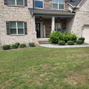 Bush Trimming by ShiftChange LLC Lawn Service reviewed on August 5, 2022