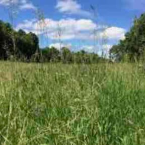 Flower Bed Weeding by Dirt-Brothers Lawn Care reviewed on June 22, 2022