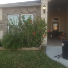 Bush Trimming by Wyatt's Lawn Care /Bad MowFos reviewed on May 7, 2025