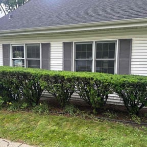 Bush Trimming by Mora Brothers Tree and Landscaping reviewed on June 9, 2022