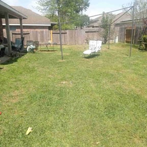 Leaf Removal by Star Landscaping reviewed on April 24, 2025