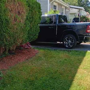 Bush Trimming by Family Claros landscaping services reviewed on April 5, 2022