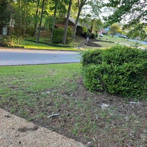 Bush Trimming by DMD LAWN SVC reviewed on June 13, 2022