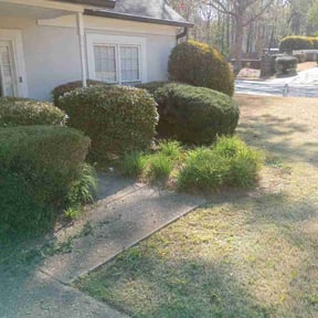 Bush Trimming by Ledesma Lawn Care reviewed on July 29, 2021