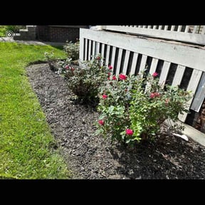 Flower Bed Weeding by Isabell lawn services reviewed on July 20, 2022