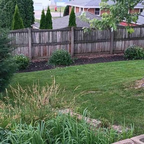 Bush Trimming by Cornerstone landscape & design reviewed on June 7, 2022
