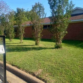 Bush Trimming by Listo Lawns Smart Landscaping Solutions reviewed on October 7, 2024