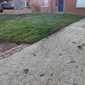 Leaf Removal by TruGreen LawnCare reviewed on August 14, 2024