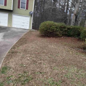 Leaf Removal by White&#039;s premium landscaping services reviewed on September 23, 2024